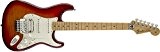 Standard Stratocaster HSS Plus Top Tremolo Aged Cherry Sunburst