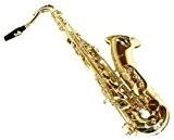 Tenor Saxophone + Valise & Accessoires de MPM