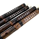 Violet chinois niveau débutant Dizi flûte de bambou Instrument professionnel avec accessoires
