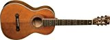 Washburn R314 - Guitare Folk Parlor
