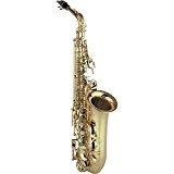 Yamaha - saxophone alto professionnel yas 875-ex (verni)